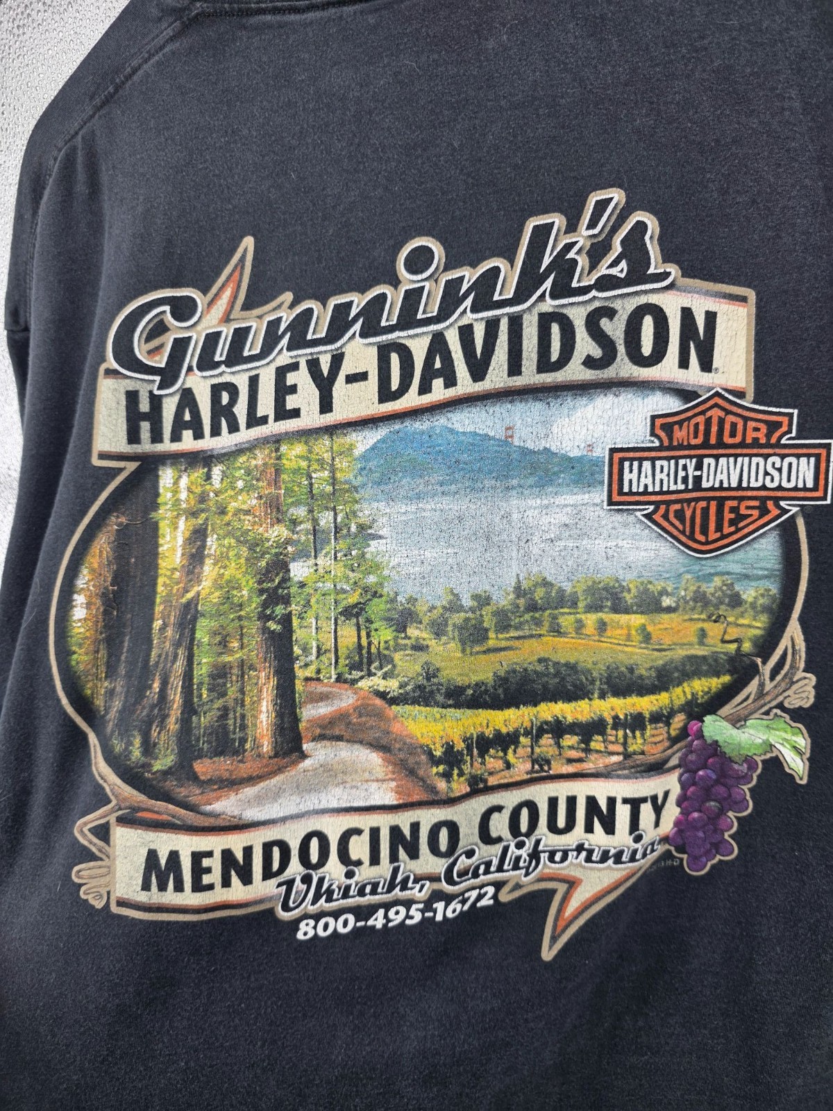 Harley Davidson 2XL Wild Hog Graphic T-Shirt Mendocino County 100% Cotton